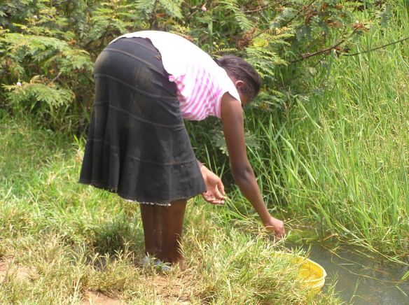 A woman drawing water from Yala Swamp